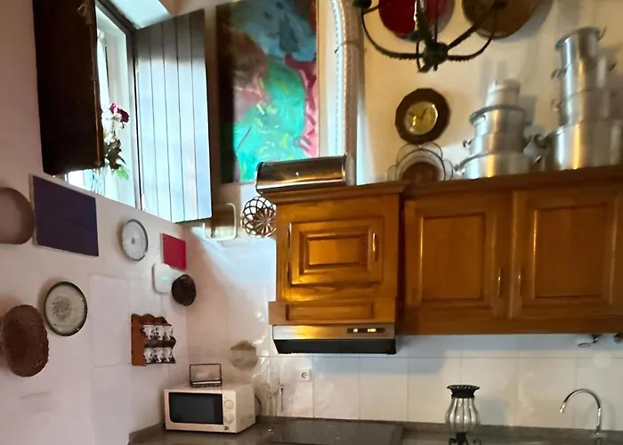 Casa-museu Nuno Miguel Henriques Holiday home Salgueiro (Castelo Branco)